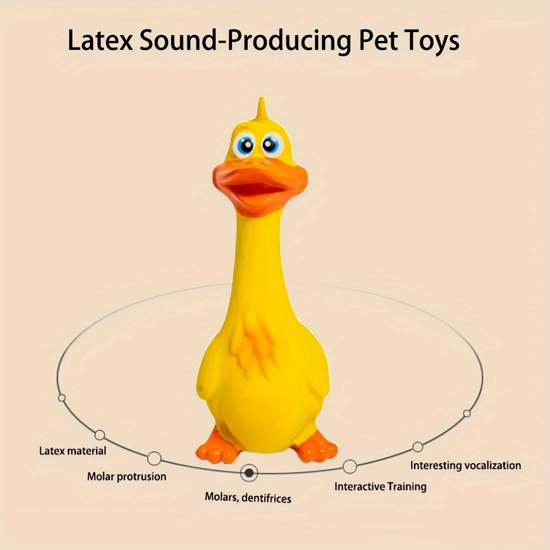 Squeaky Chicken and Duck Dog Toy for Teething - Image 5