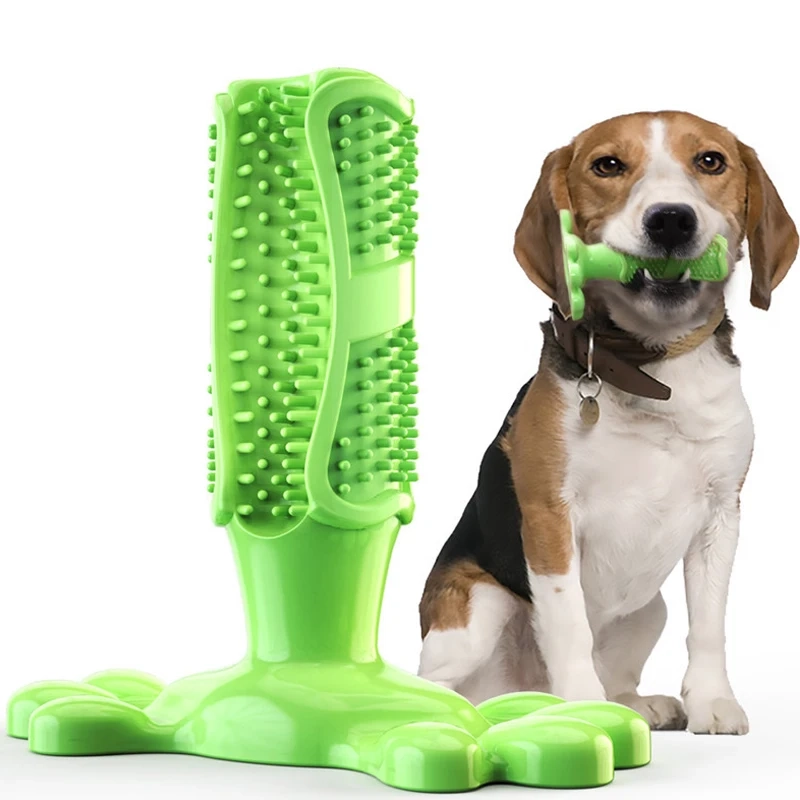 Squeaky Dog Toothbrush Chew Toy - Image 6
