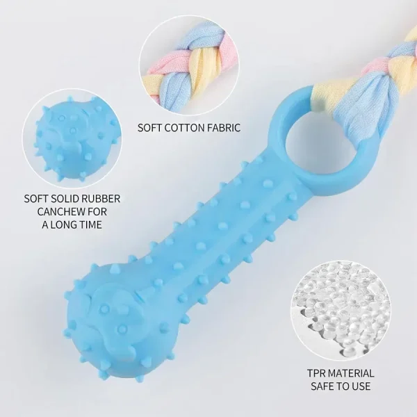 Interactive Molar Stick Dog Toy