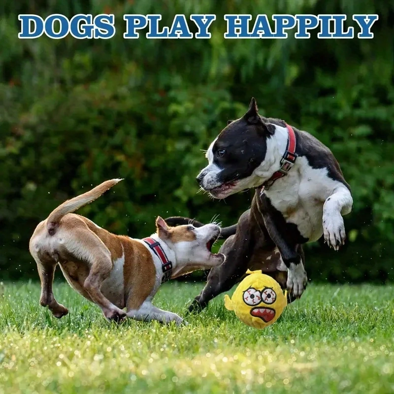 Interactive Funny Sound Dog Ball Toy - Image 4