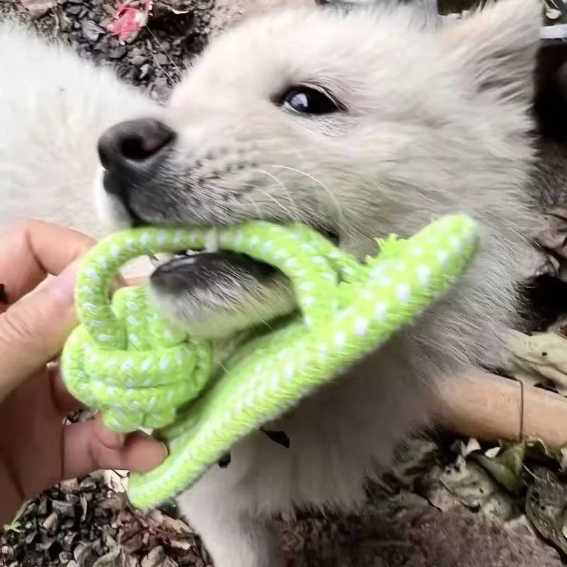 Knotted Rope Dog Toy for Small Dogs - Image 3