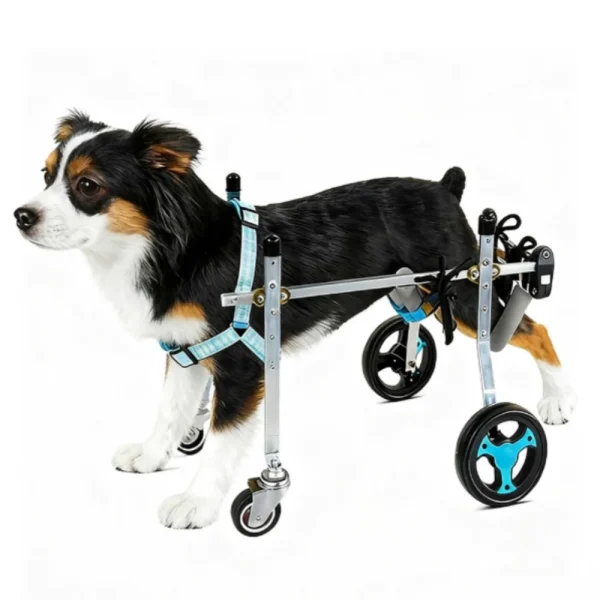 2-Wheel & 4-Wheel Rear Support Wheelchair