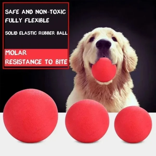 Solid Rubber Dog Ball for Fetch, Chewing, and Training Play