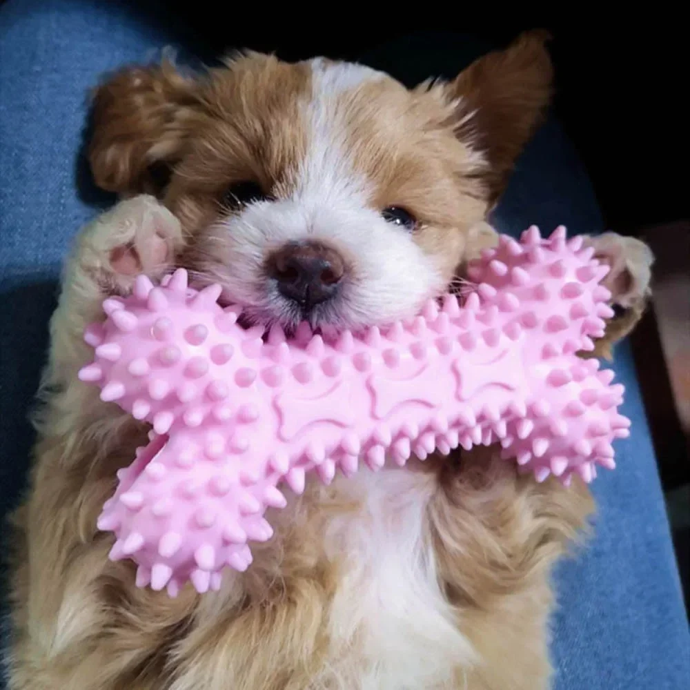 Bone Chew Dog Toy - Image 3