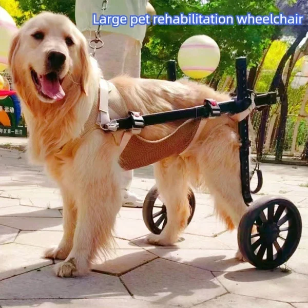 Rear Leg Support Dog Wheelchair