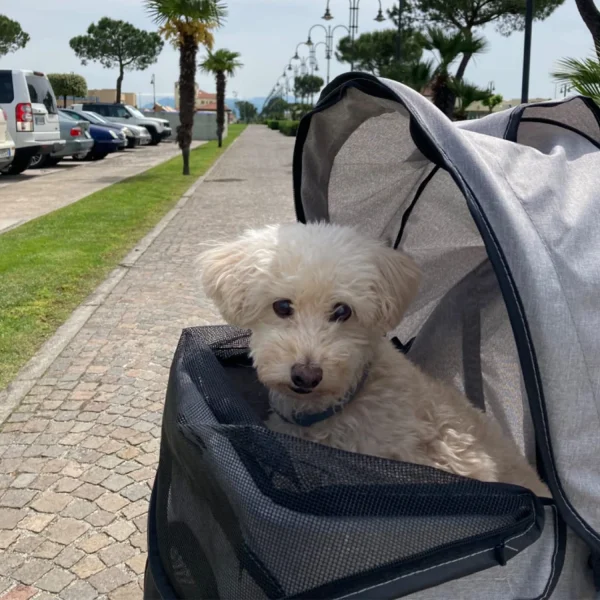 Portable Pet Travel Stroller