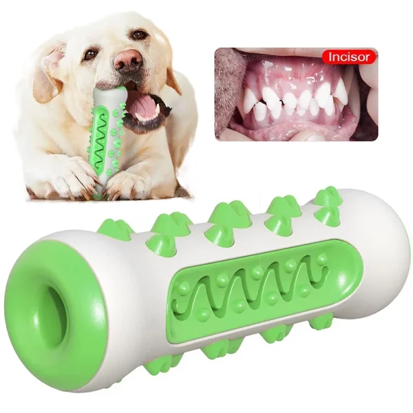 Rubber Dog Chew Toothbrush Toy