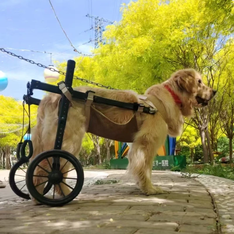 Large Dog Rehab Mobility Cart - Image 3