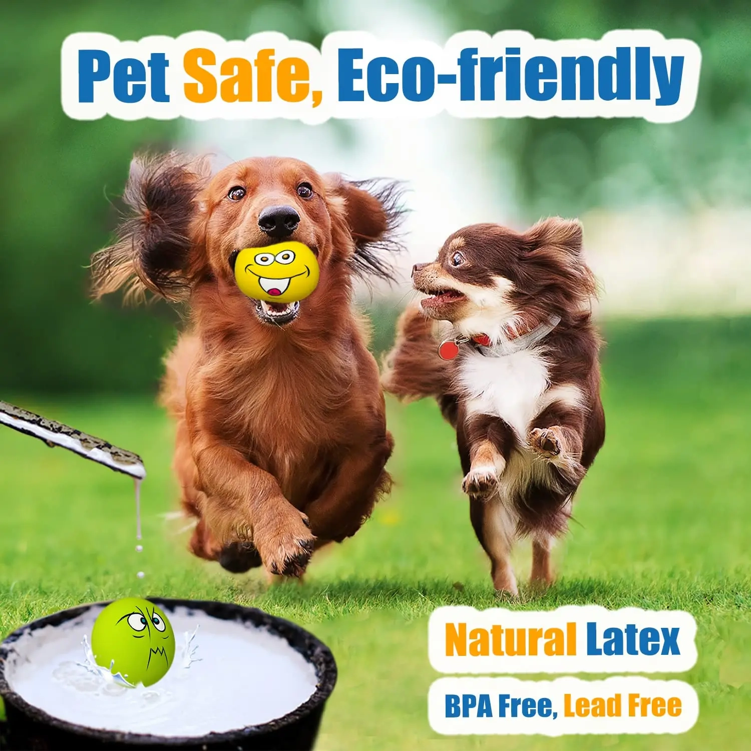 Puppy Squeaky Rubber Fetch Ball Toy - Image 3