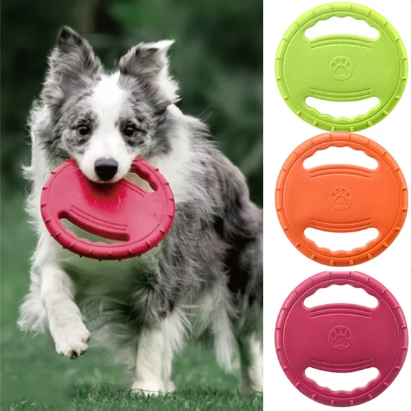 Dog Training Flying Disc