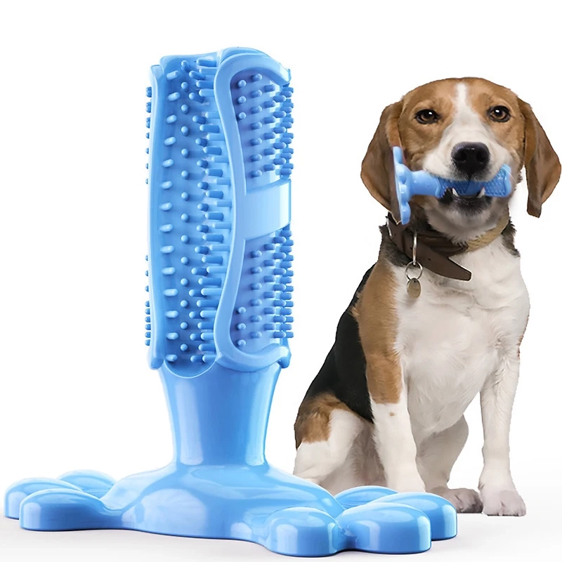 Squeaky Dog Toothbrush Chew Toy - Image 8