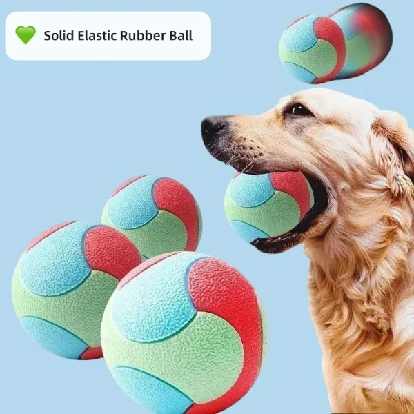 Bouncy Rubber Dog Ball