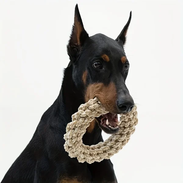 Twisted Ring Rope Dog Toy
