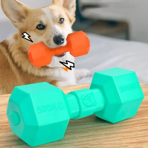 Rubber Squeaky Dumbbell Toy