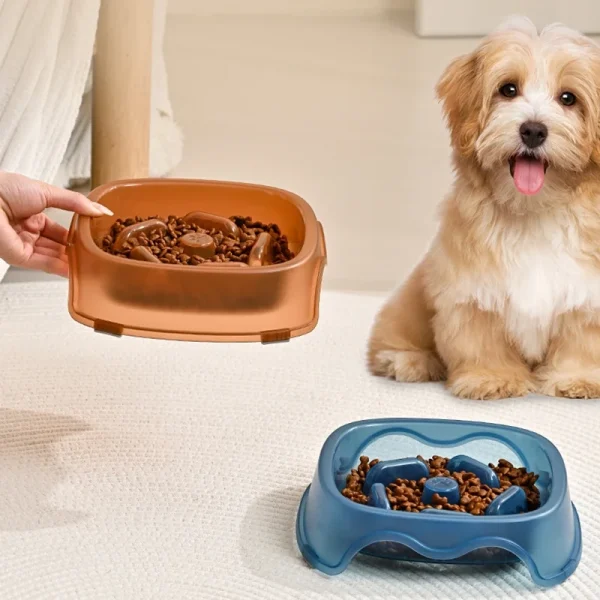 Maze Slow Feeder Dog Bowl for Slower Eating and Daily Enrichment