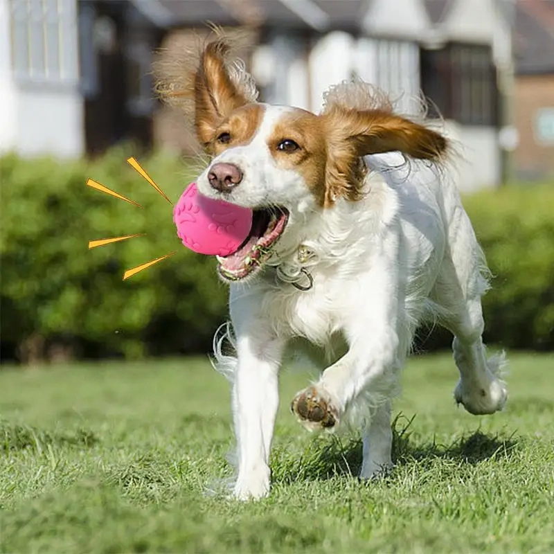 Latex Squeaky Dog Ball for Interactive Chewing and Fetch Play - Image 4
