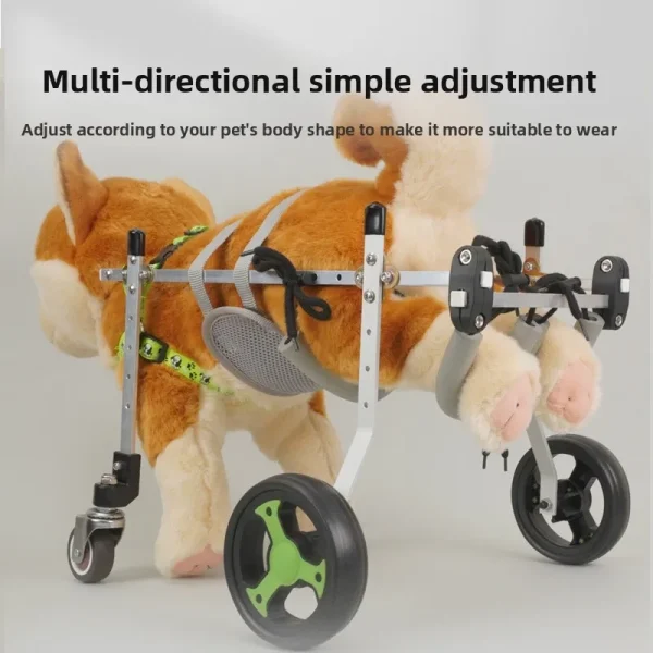Adaptive 2-Wheel & 4-Wheel Mobility Cart