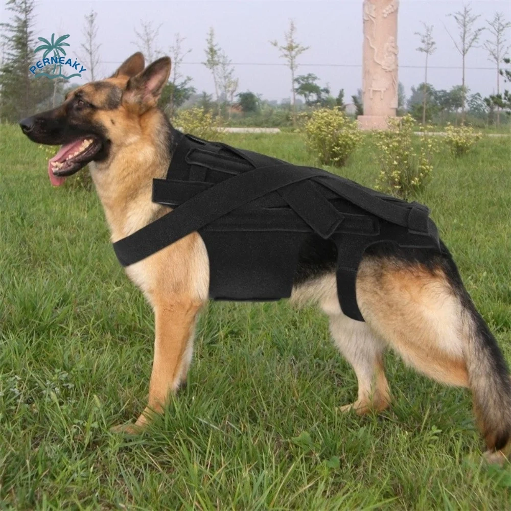 Pet Back Support Vest