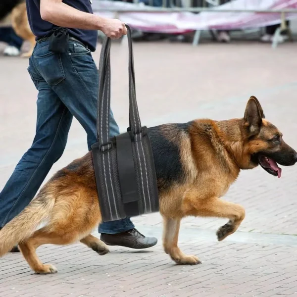 Rear Leg Support Lift Harness