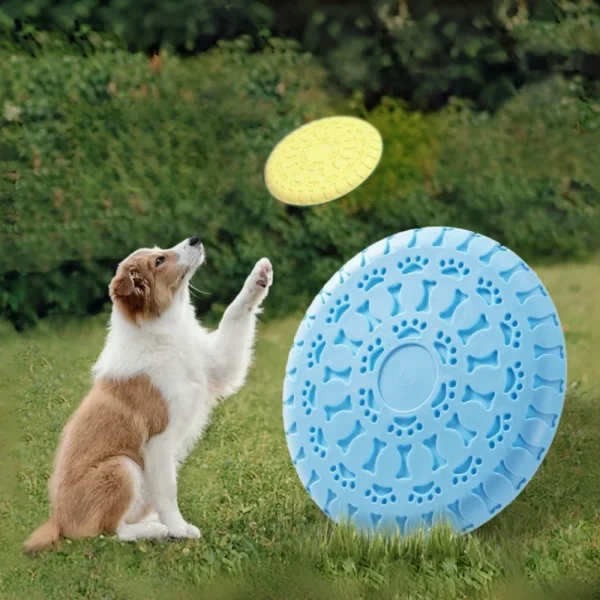 Silicone Fetch Flying Disc