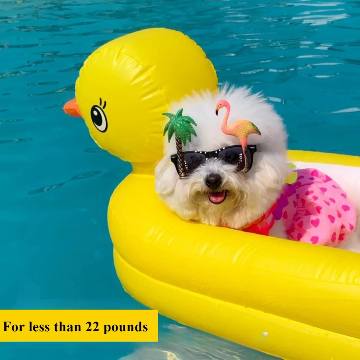Inflatable Pet Pool Float - Image 2