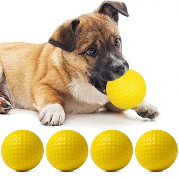 Foam Dog Ball Set
