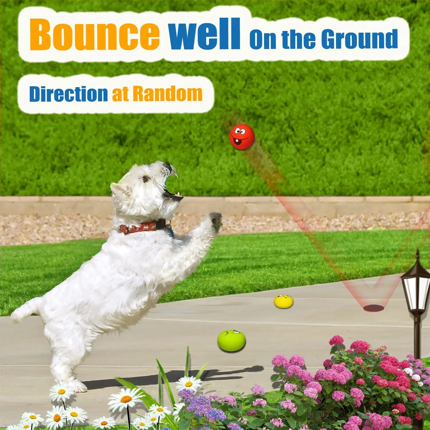 Puppy Squeaky Rubber Fetch Ball Toy - Image 2