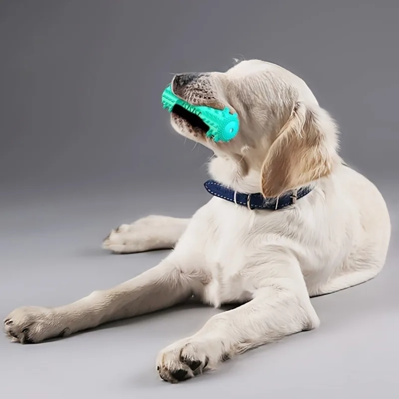 Squeaky Dog Dental Chew Stick for Teeth Cleaning - Image 4