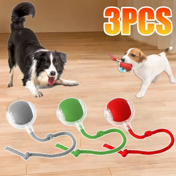 Smart Rolling Dog Ball