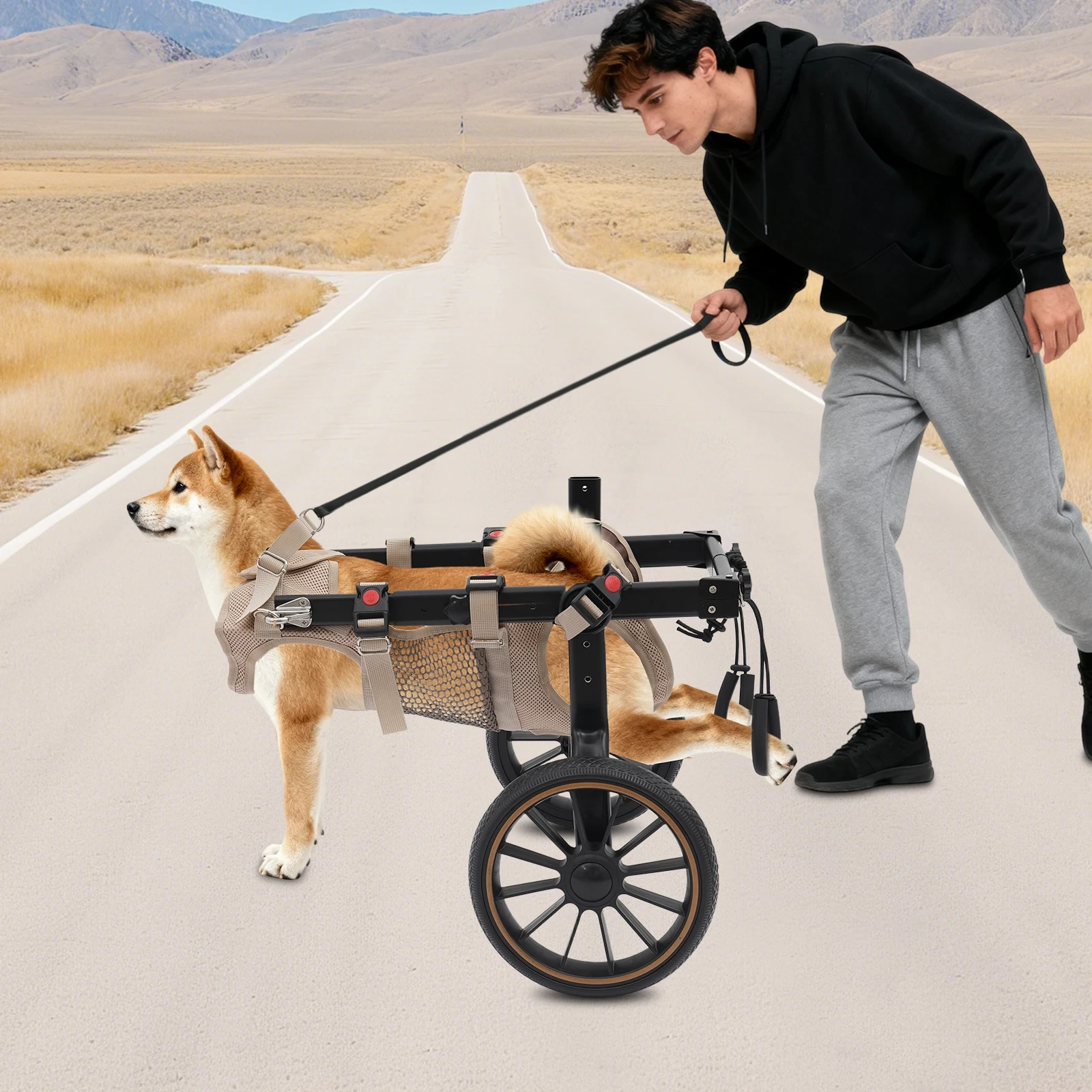 Adjustable Hind-Leg Support Cart - Image 2