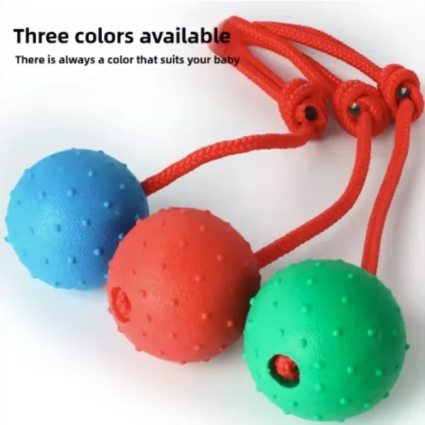 Rubber Ball Tug Dog Toy