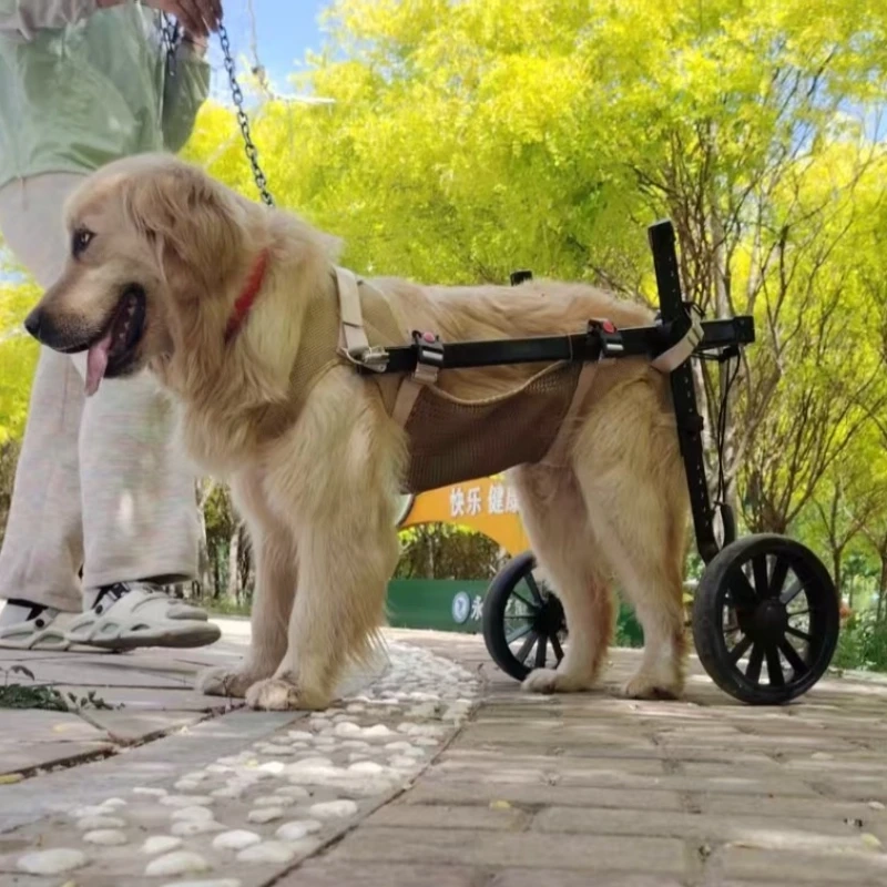 Large Dog Rehab Mobility Cart - Image 2