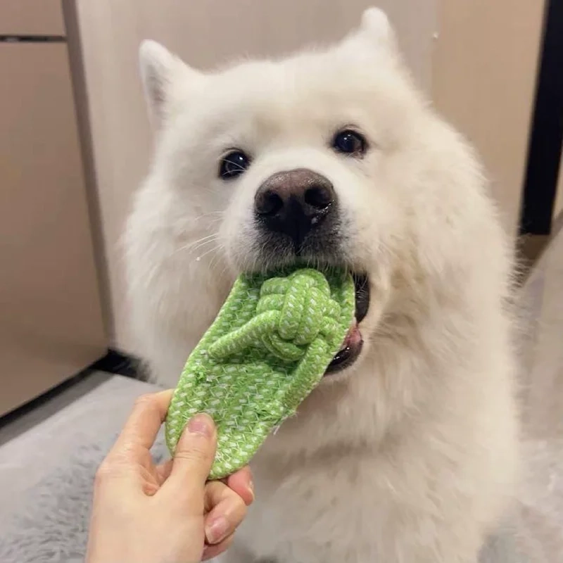 Knotted Rope Dog Toy for Small Dogs - Image 2