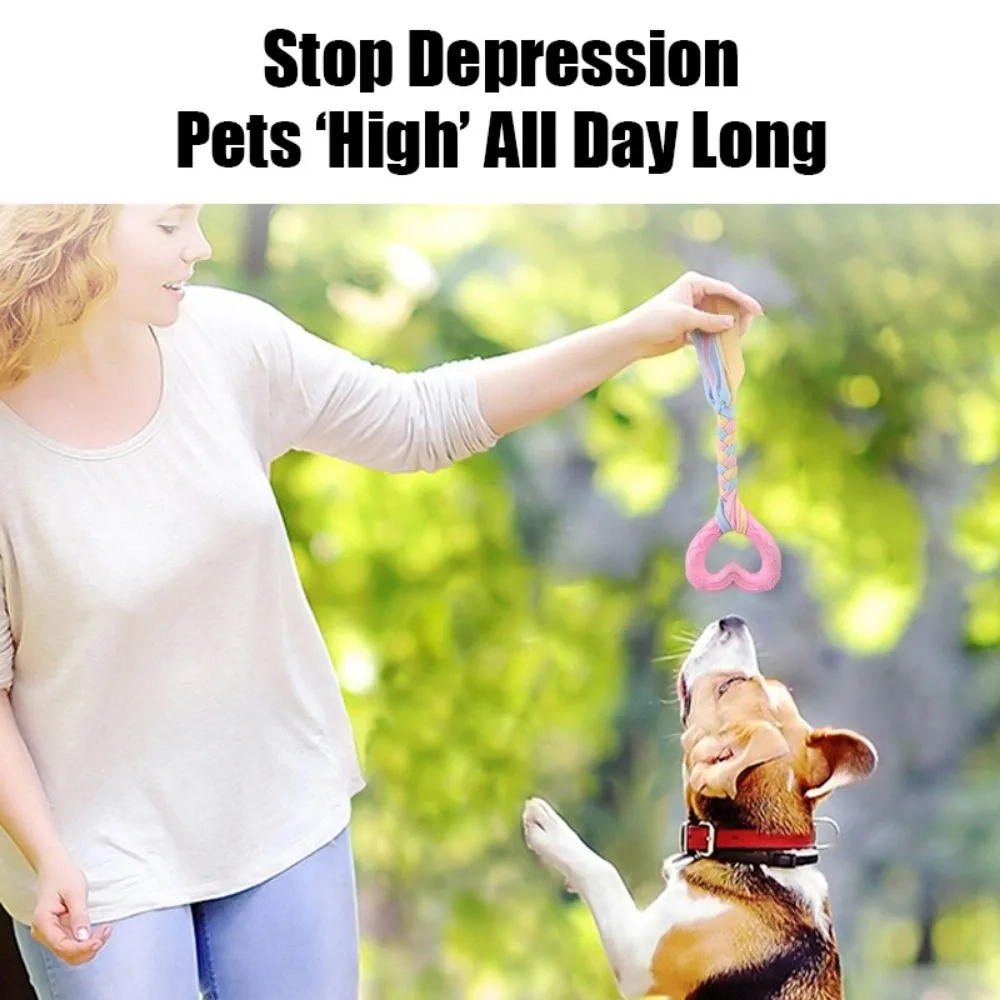 Braided Rope & Rubber Dog Toy - Image 3