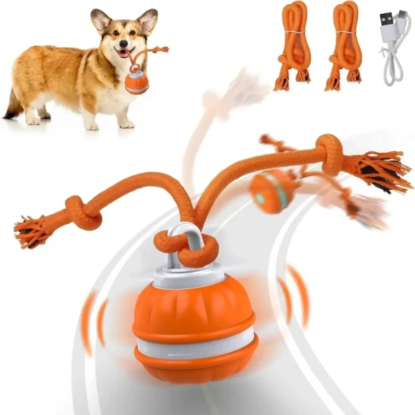 Automatic Rolling Dog Ball Toy