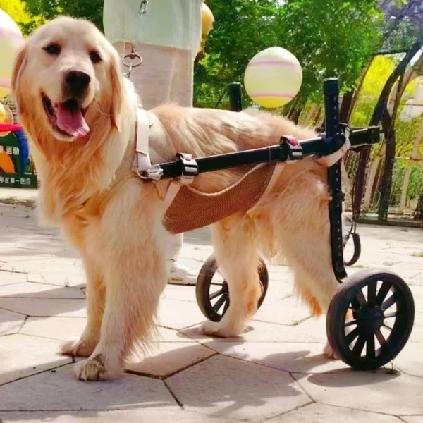 Large Dog Rehab Mobility Cart