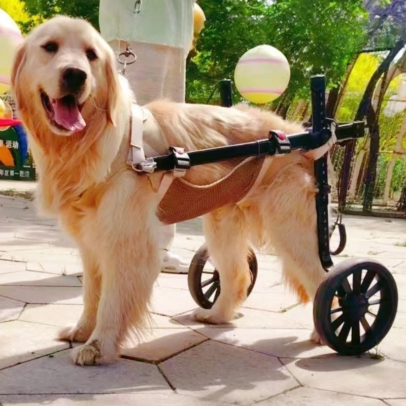 Large Dog Rehab Mobility Cart