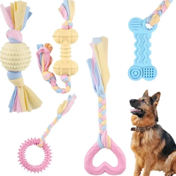 Braided Rope & Rubber Dog Toy
