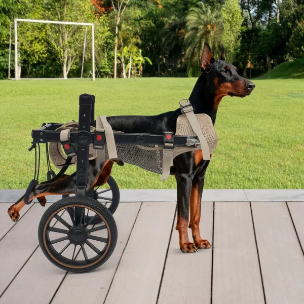 Rear Support Dog Wheel Cart