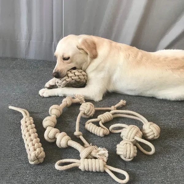 Knotted Rope Pet Toy
