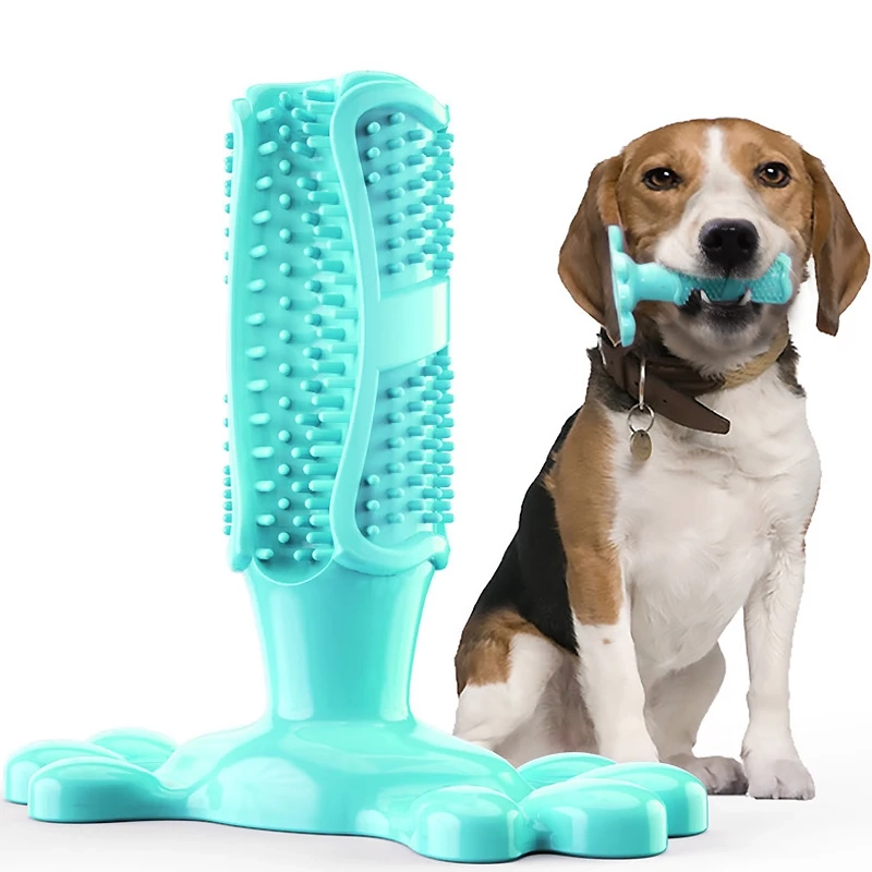 Squeaky Dog Toothbrush Chew Toy - Image 7