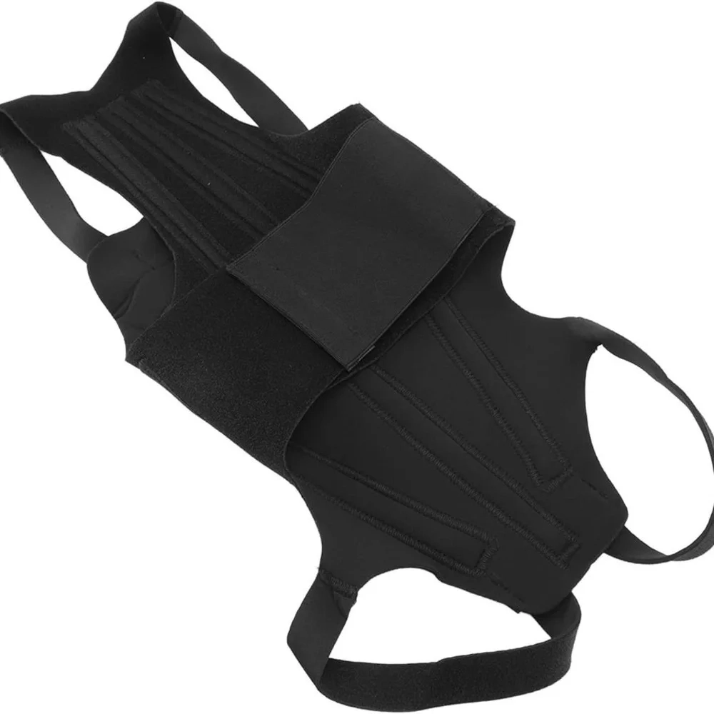 Pet Back Support Vest - Image 7