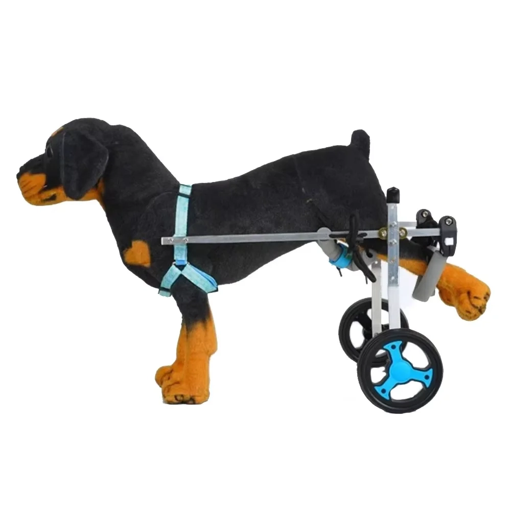 Adjustable Rear Support Wheelchair - Image 2