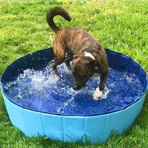 Foldable Pet Splash Pool