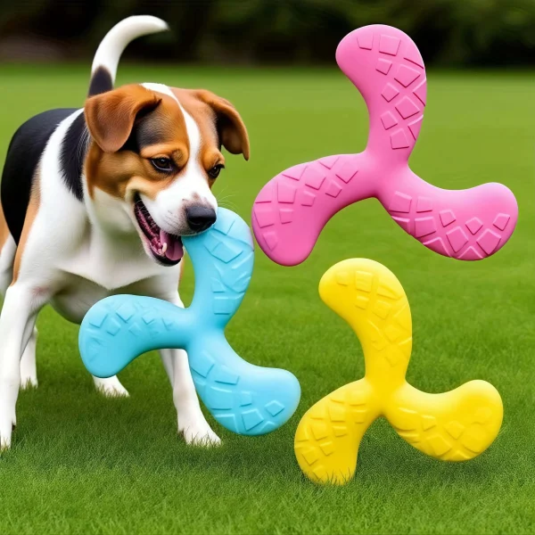 Floating Dog Frisbee Toy