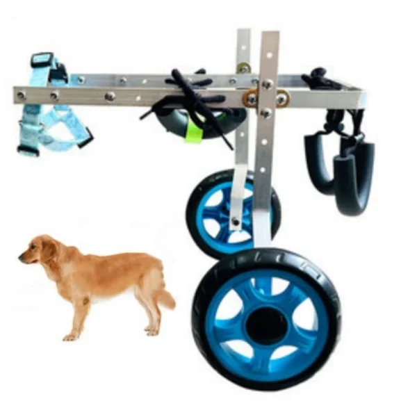 Adjustable Rear Support Wheelchair