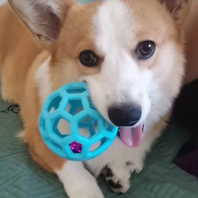 Pet toys and playful home environment