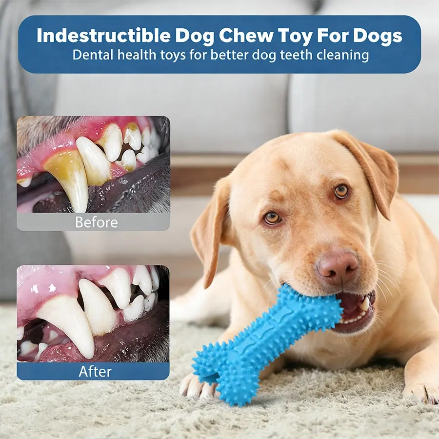 Interactive Molar Stick Dog Toy - Image 3
