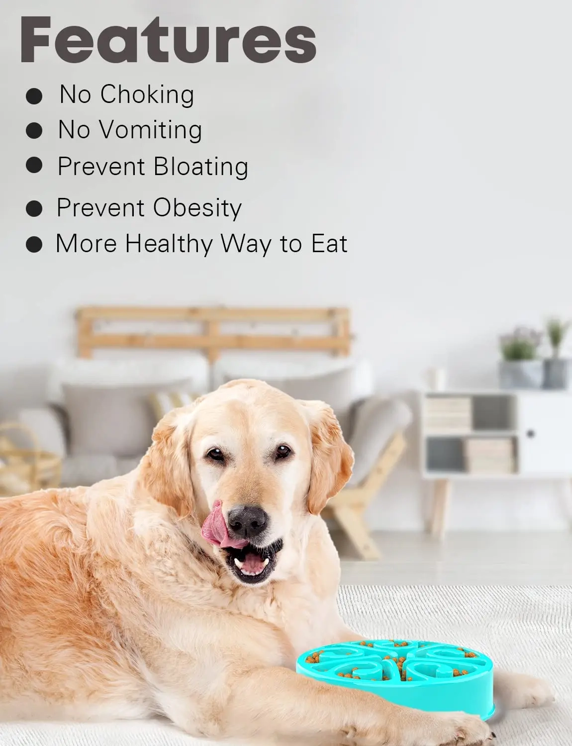 Non-Slip Slow Feeder Bowl for Dogs - Image 6