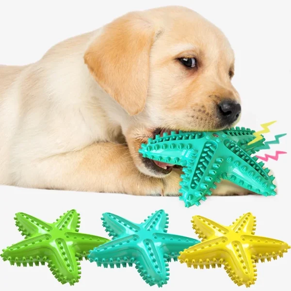 Starfish Squeaky Rubber Dog Toy